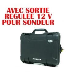 Batterie Sh Lithium 24v 100a Avec Sortie Régulée 12v Pour Sondeur