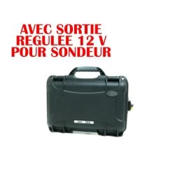 Batterie Sh Lithium 24v 50 Ah Avec Sortie Régulée 12v Pour Sondeur
