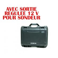 Batterie Sh.lithium 36v 100a Avec Sortie Régulée 12v Pour Sondeur