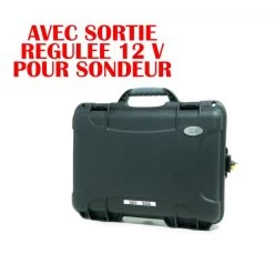 Batterie SH. Lithium 36V 50A Avec Sortie Régulée 12V Pour Sondeur