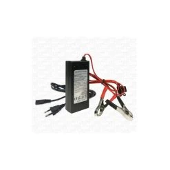 Chargeur 12V/4A